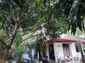 Eagle Homestay